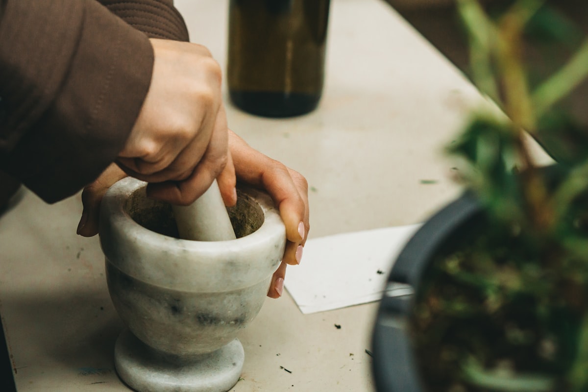 Ancient herbal wisdom and traditional plant knowledge