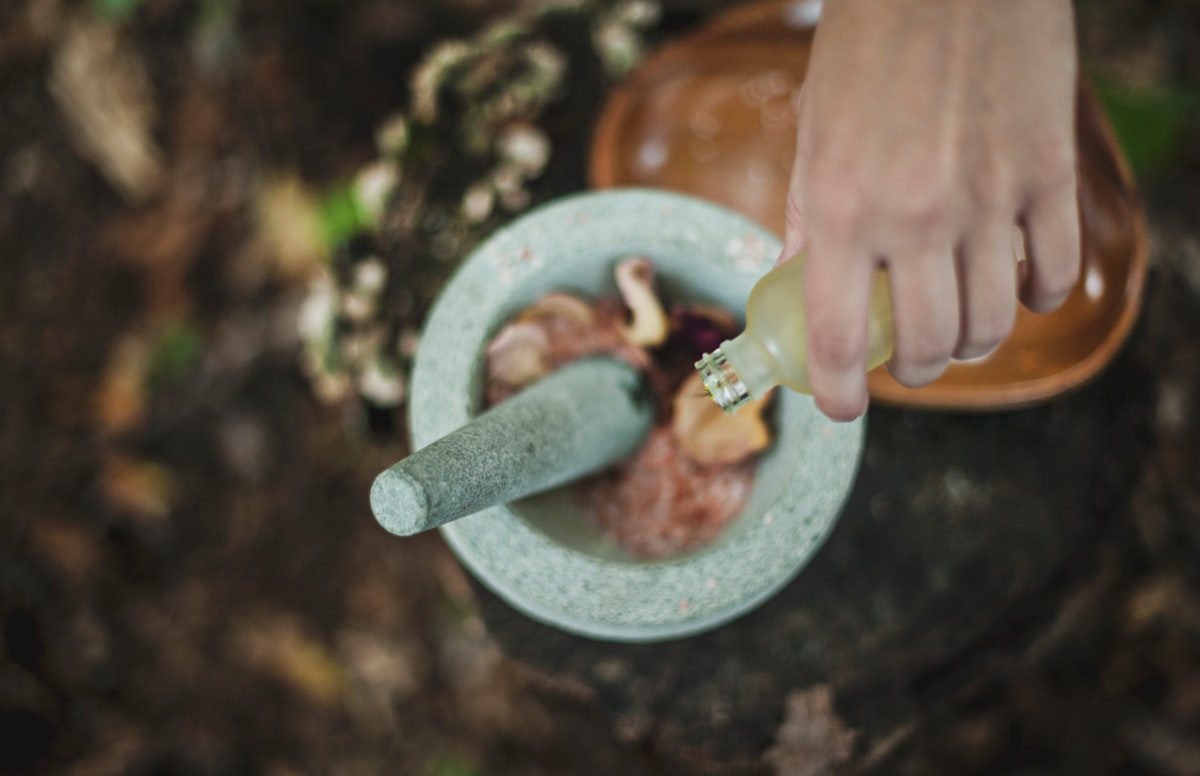 Peppermint leaves and traditional infusions